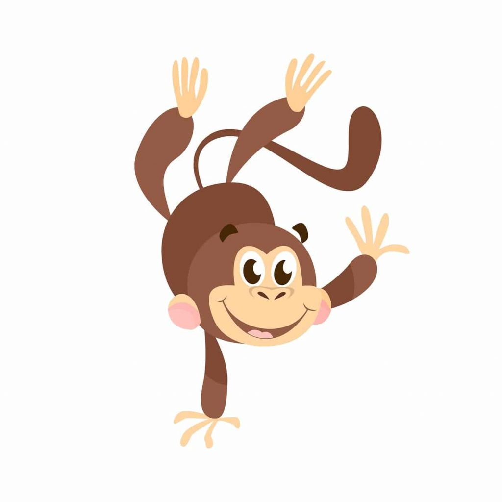 monkey