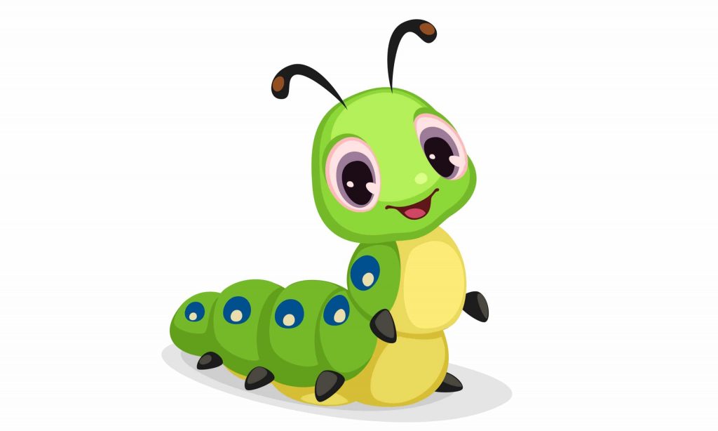 bug