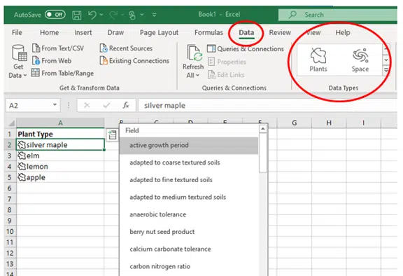 Excel Data Type Excel Data Type